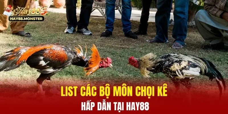List các bộ môn chọi kê hấp dẫn tại Hay88